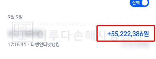 [D391] 난소경계성종양 손해사정사례 이루다손해사정법인 성공사례 썸네일
